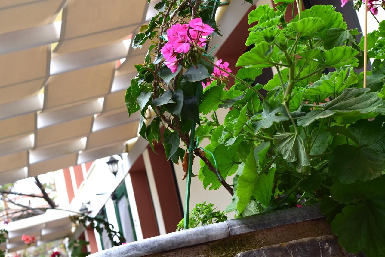 Cozy Residences In The Center Of Volissos Village - Lydia Lithos- Esterno foto